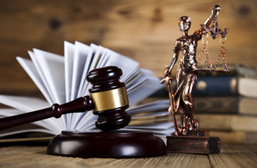Tennessee Court Rules that Benefit Limits for Undocumented Workers Unconstitutional