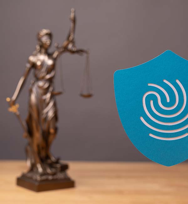 Accurate Legal Case Preparation
