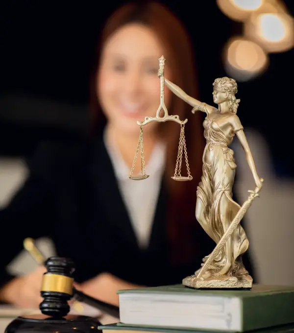 Automated Legal Case Chronology